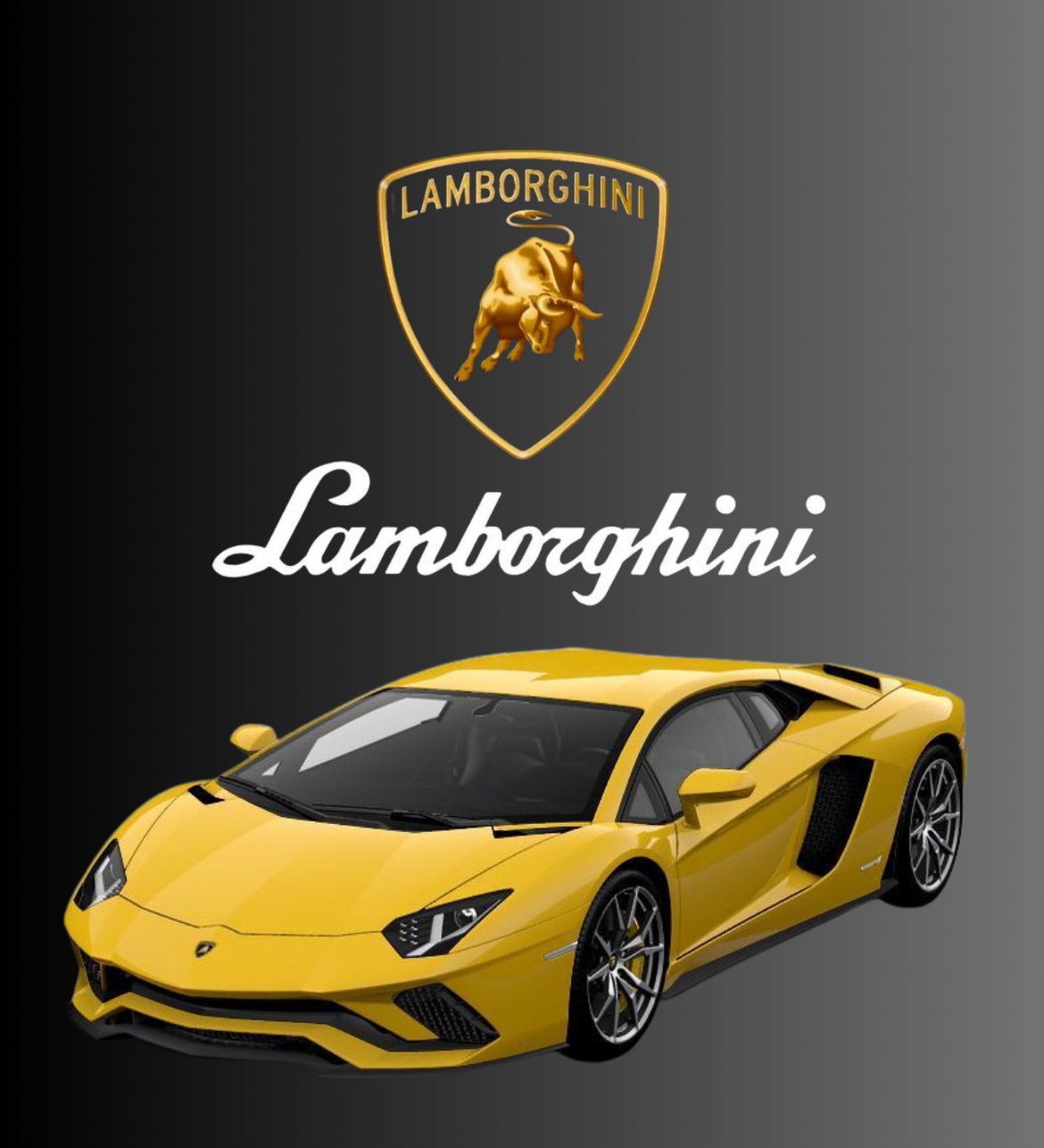 Lamborghini parts